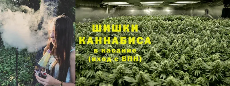 маркетплейс телеграм  KRAKEN зеркало  Марихуана SATIVA & INDICA  Андреаполь  где продают наркотики 